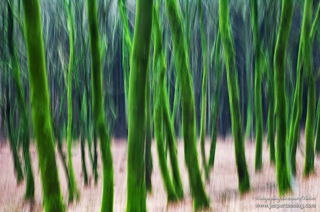 (Pentax K7, DA 18-55/3,5-5,6 WR, iso 100, handheld)