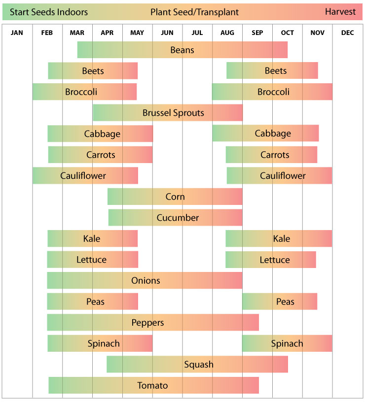 Putnam County Master Gardeners: Tennessee: Vegetable Planting Calendar