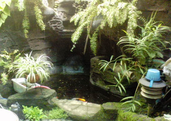 Model Kolam Ikan Hias Minimalis | Budidaya Ikan | Ikan Hias | Resep