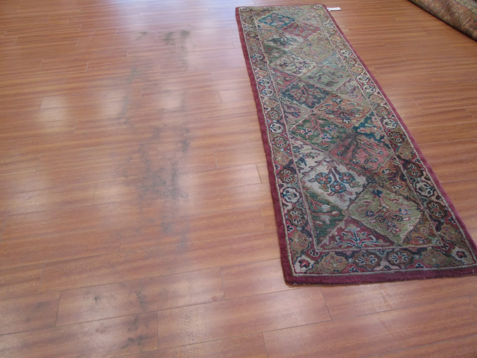 Rug Master Your Rug Is Dirty!