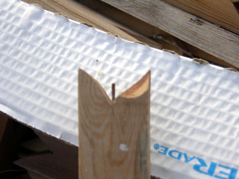 Xtremehorticulture of the Desert Use Limb Spreaders on Fruit Trees Now