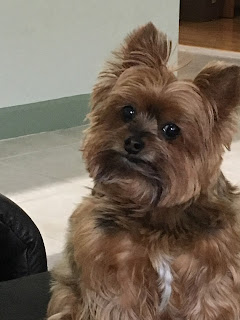 Whatcha Thinking