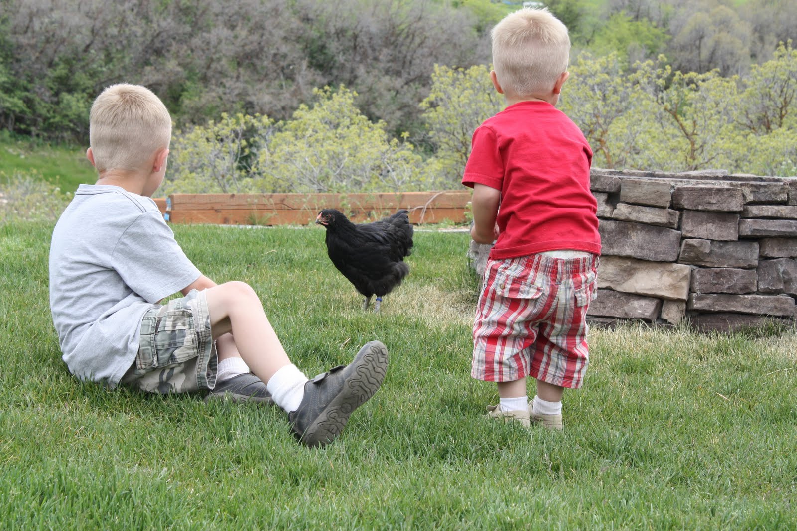 COUNTRY GIRL HOME {CHICKENS and COOP}
