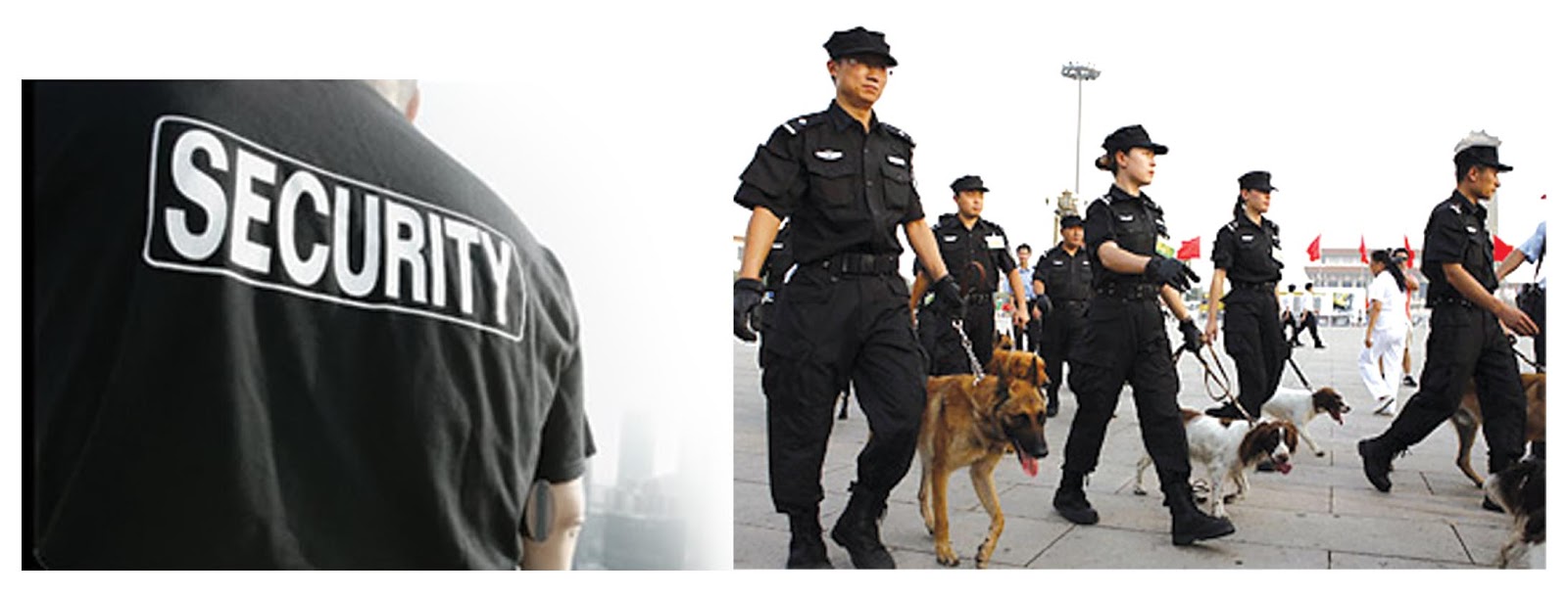 Sunrise Bangalore Housekeeping Services Bangalore, Facility Management