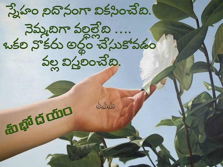 Telugu Good Morning Wishes With Inspirational Quotes For Facebook And Whatsapp Photos Hd Wallpapers