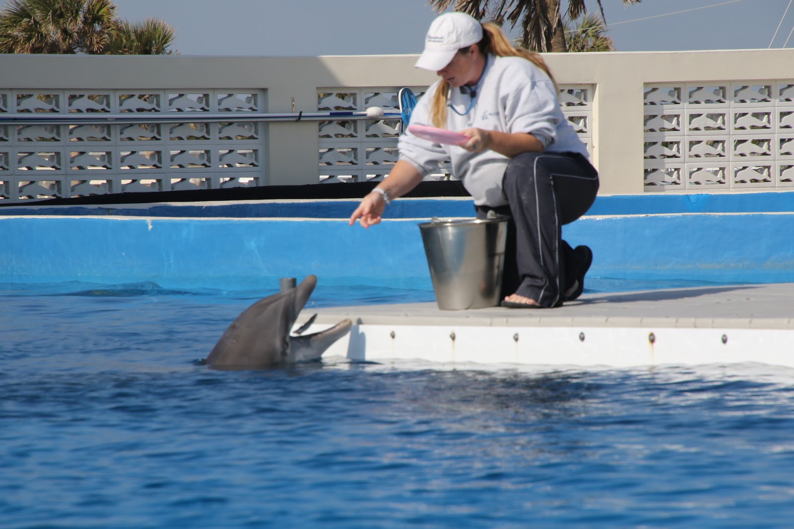 Southern Style Marineland Florida