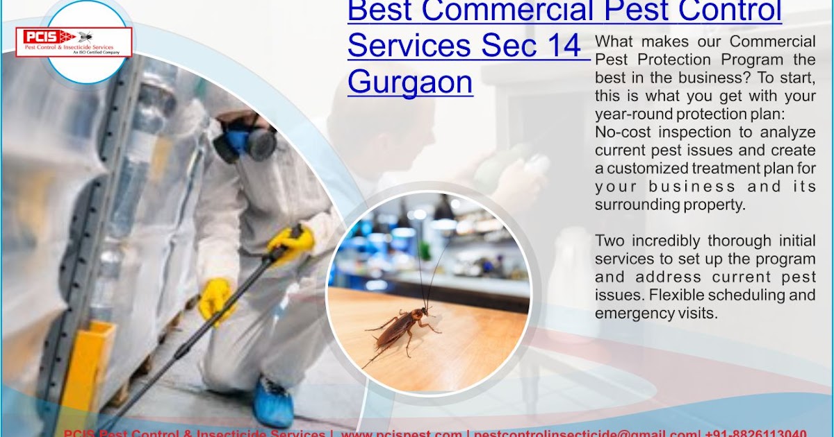 PCIS Pest Control & Insecticide Services Gurgaon
