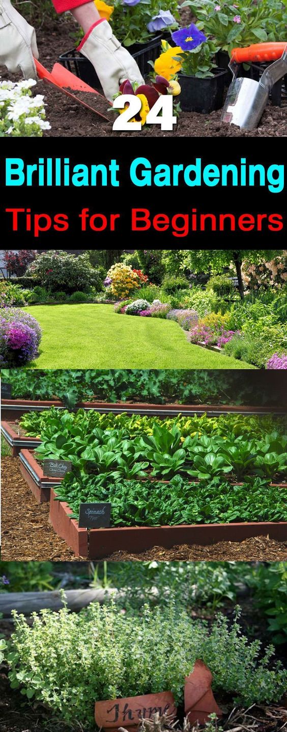 Garden Helps Gardening Stuff