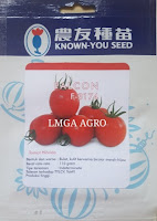 TOMAT FALCON, LMGA AGRO TOMAT FALCON, KNOWN YOU SEED, TOMAT TAHAN VIRUS, JUAL BENIH TOMAT FALCON, CARA MENANAM TOMAT FALCON, LMGA AGRO