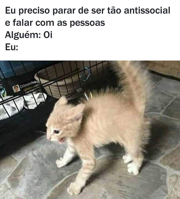 memes engraçados memes engraçados