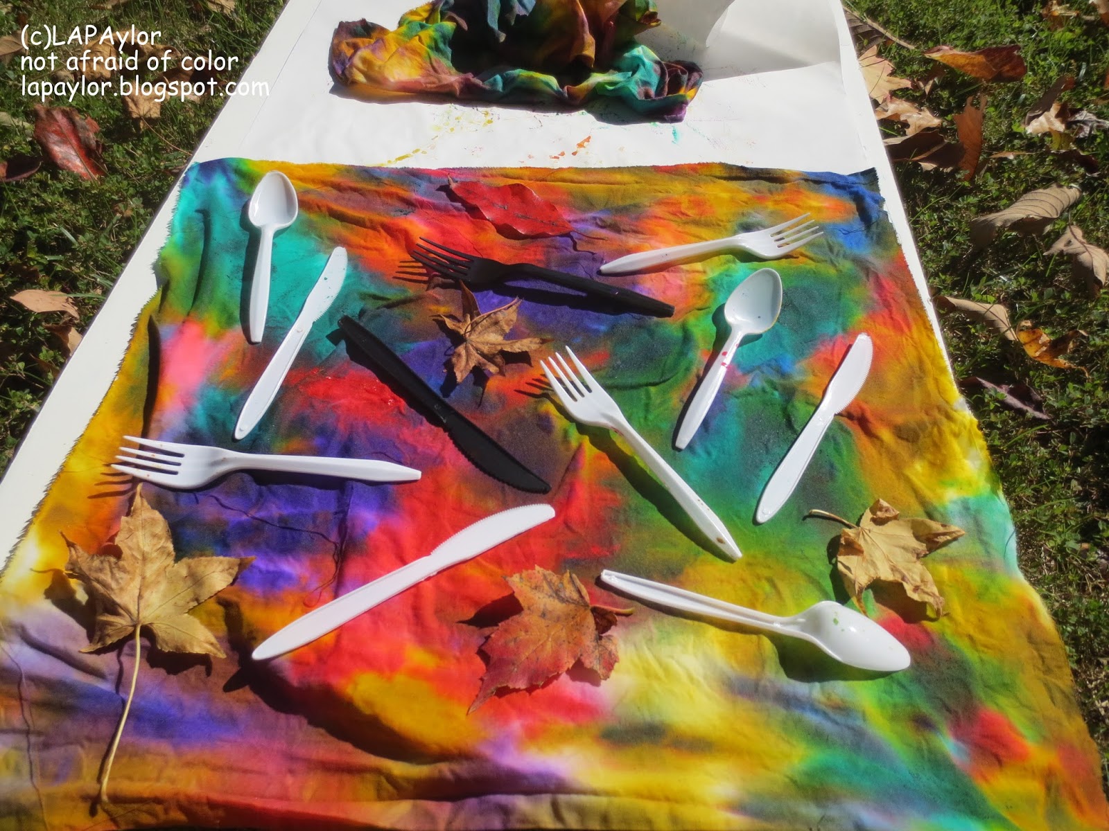 Not Afraid Of Color Painting Al Fresco Sun Dyeing Experiment