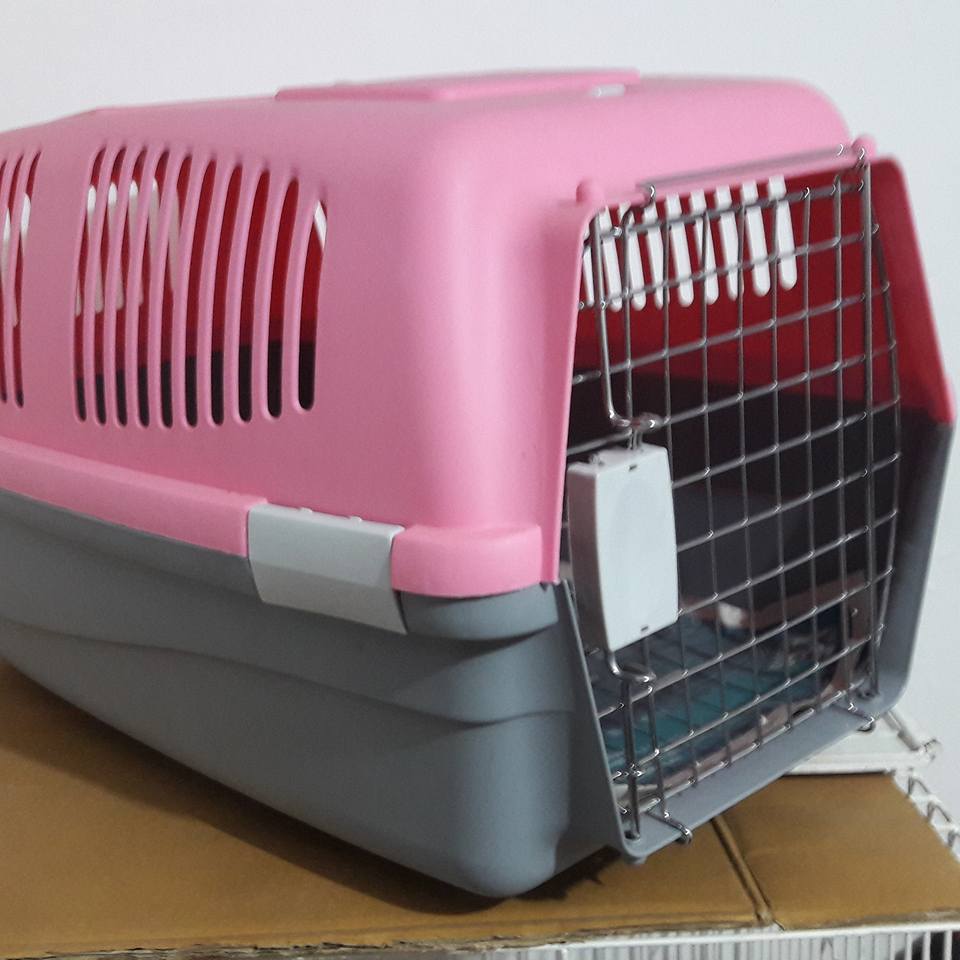 Cat cages are nice and cheap How to care for cats