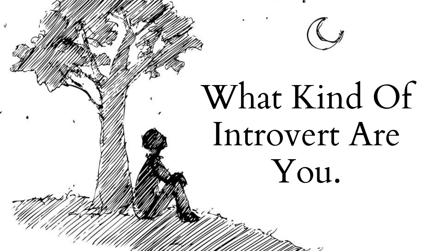 4 Introvert types. Which one are you?