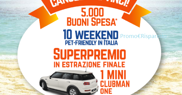 codice