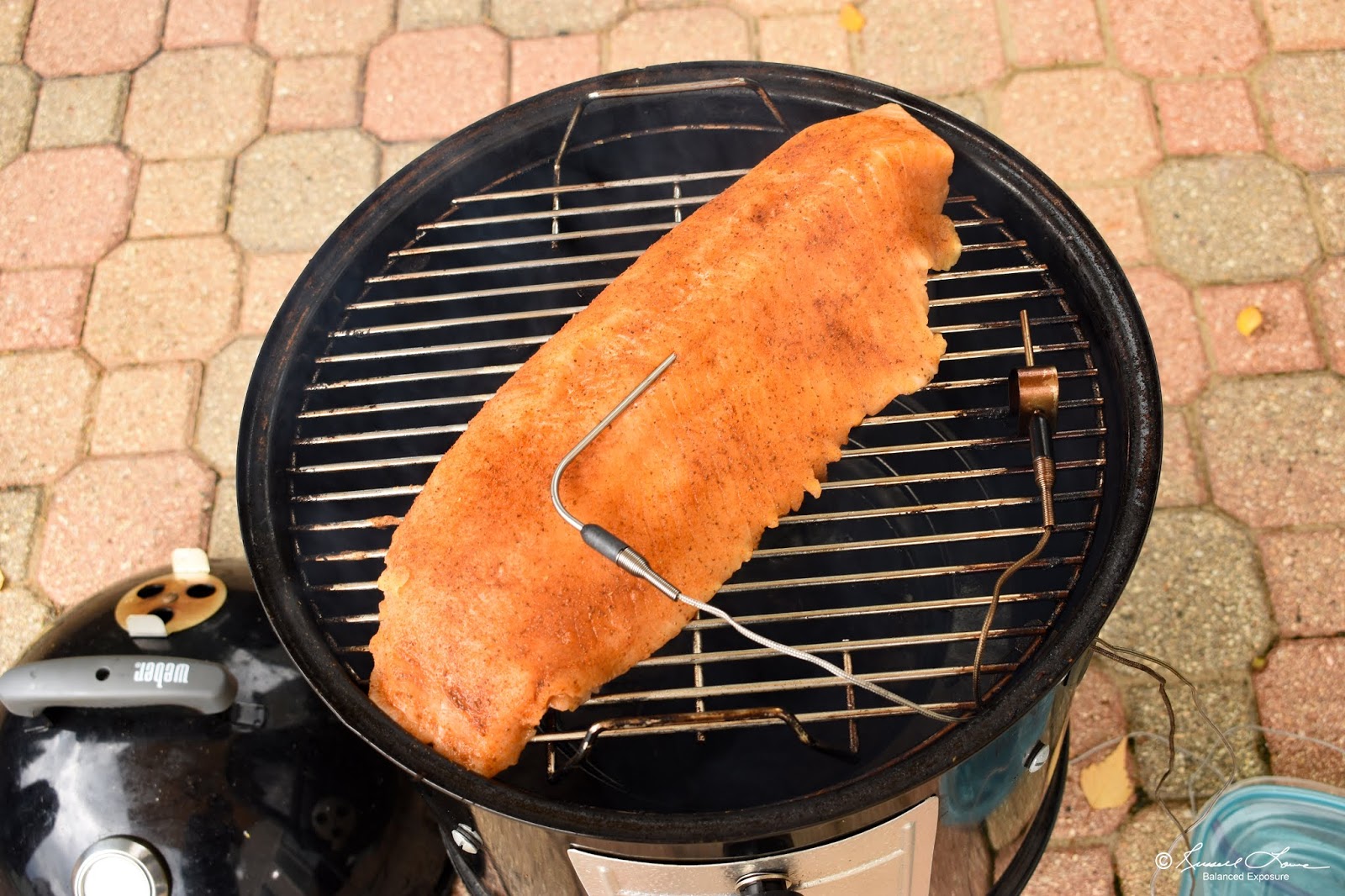 Russ' Culinary Adventures Smoked Lake Trout on the 14.5" er Smokey