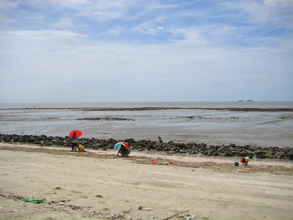 Rumah Untuk Dijual Pantai Remis Perak Micro Usb N
