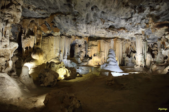 25-11-18. Suricatos en Oudtshoorn, Cango Caves y domir en Knysna. - Ciudad del Cabo y Garden Route (5)