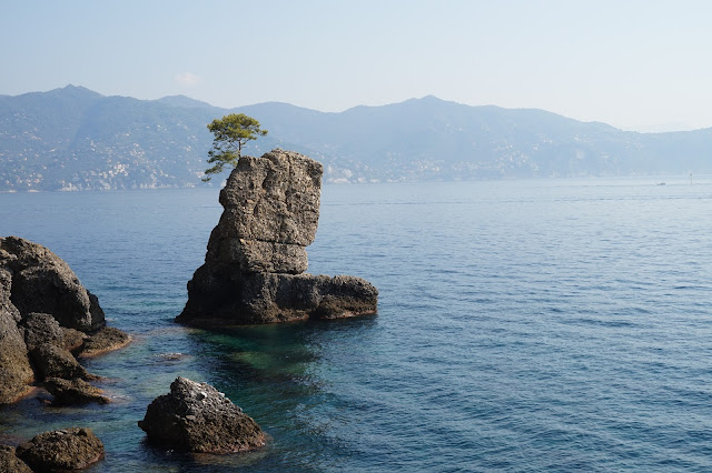 Sentier pédestre Santa Margherita Ligure → Portofino