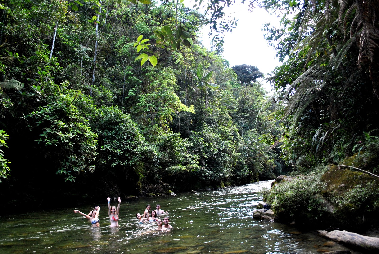 TURISMO EN EL ECUADOR Loja Ecuador, Parque Nacional Podocarpus
