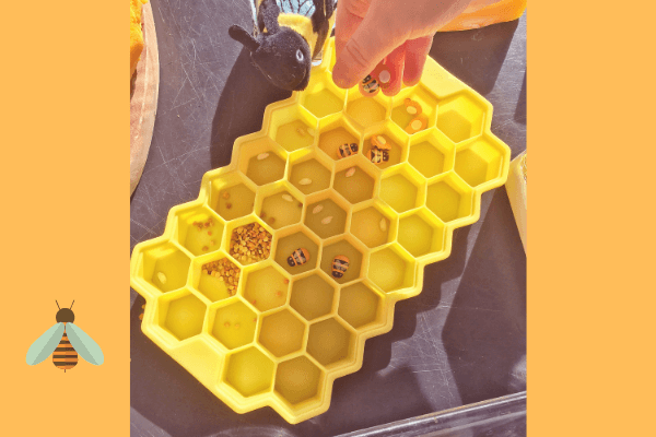 silicone honeycomb with bee eggs, pollen and baby wooden bees