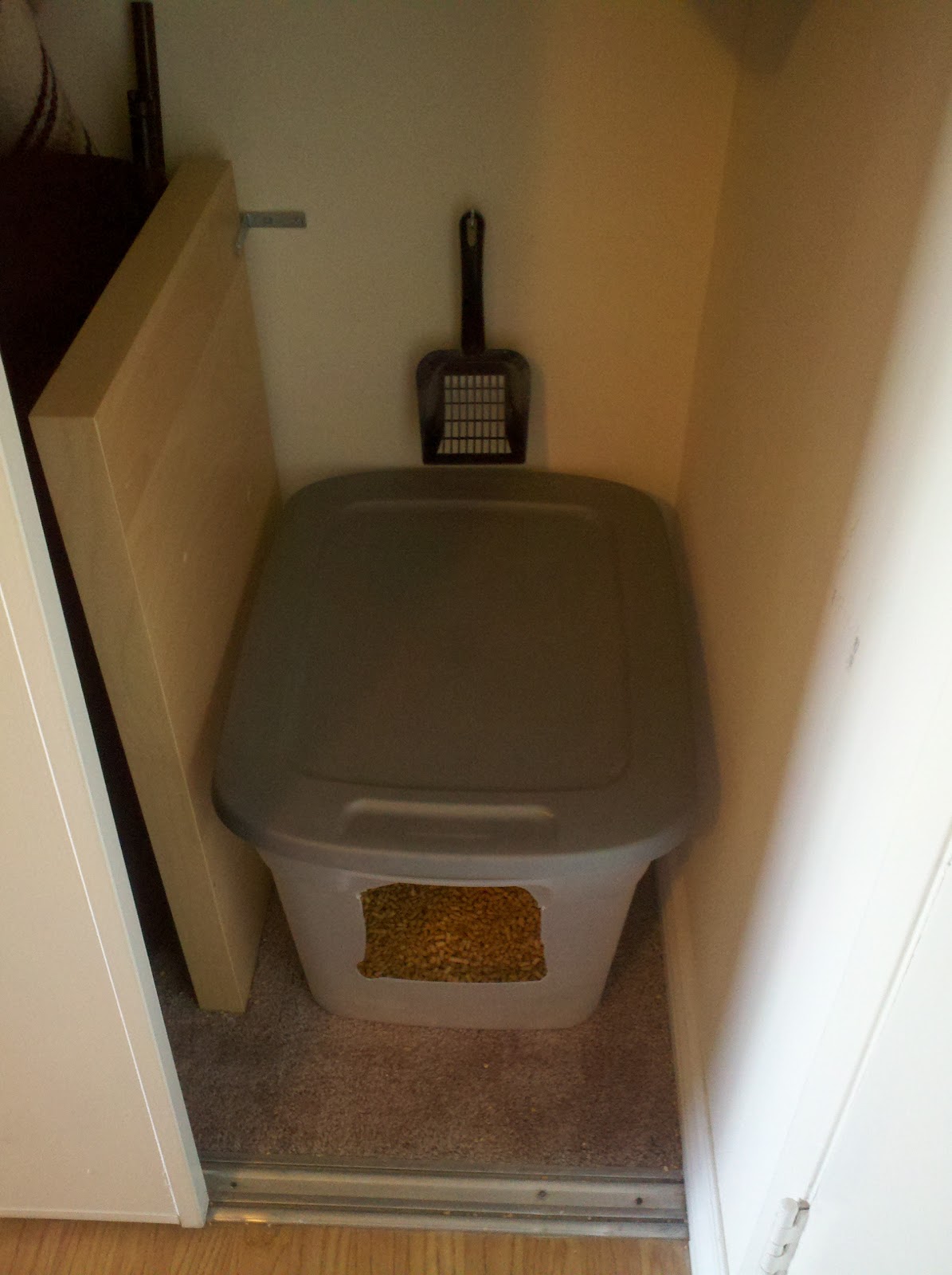 LA Apartment Living Cat Litter