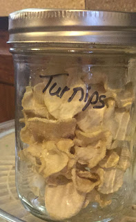 preserving the harvest, how to store turnips, dehydrating turnips, how to dehydrate