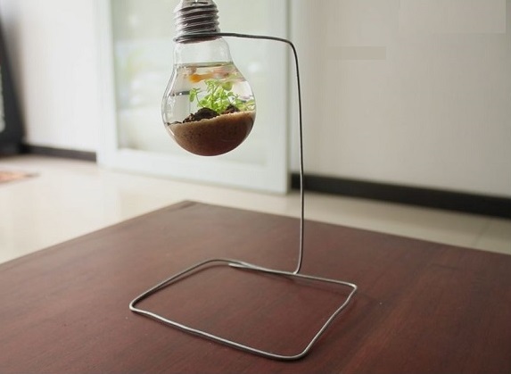 T Ps Tr K Un K Cara Membuat Aquarium Mini Dari Bohlam