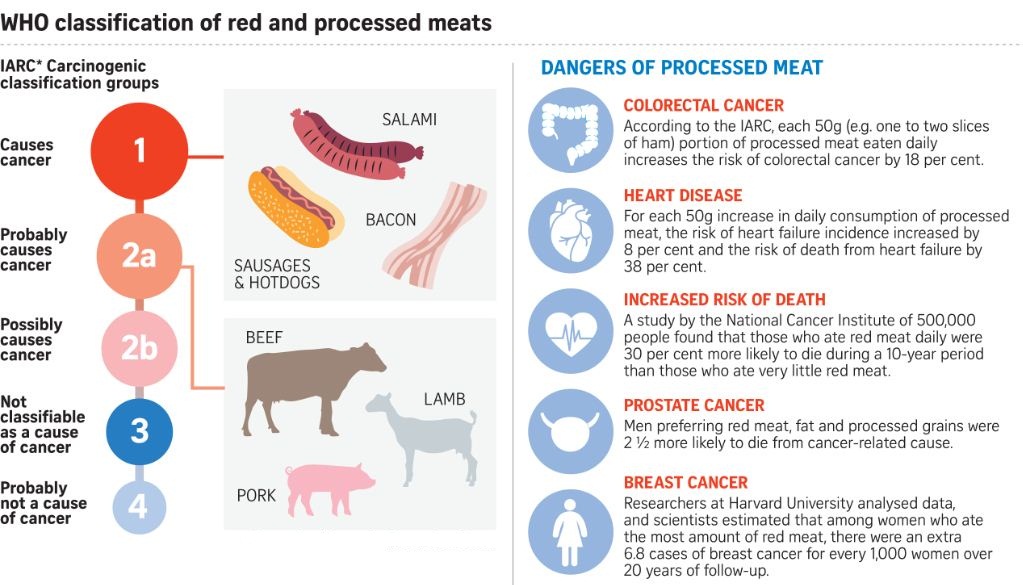 Eating Red Meat May Increase Your Cancer Risk Indo 2 Africa Medical