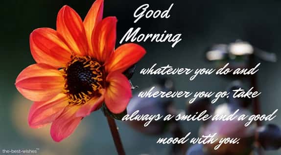 inspirational-monday-messages-with-flower inspirational monday messages with flower