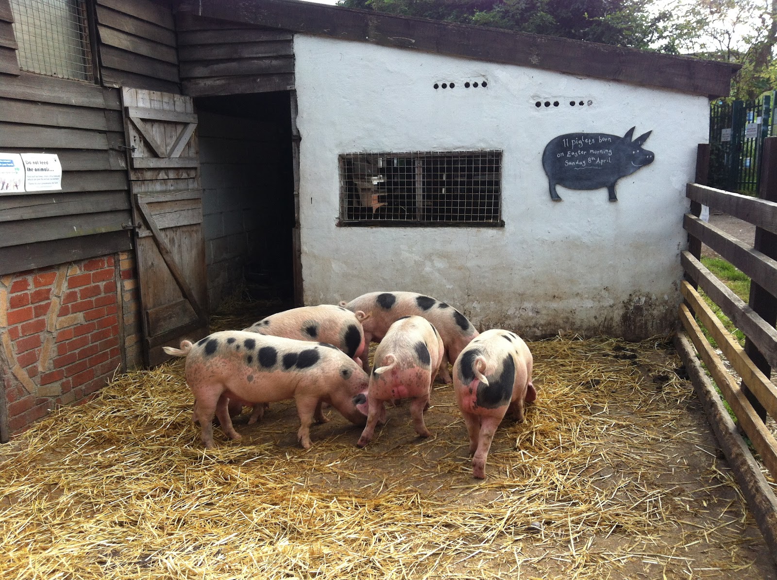 The Fry up Inspector St Werburghs City Farm Cafe Bristol