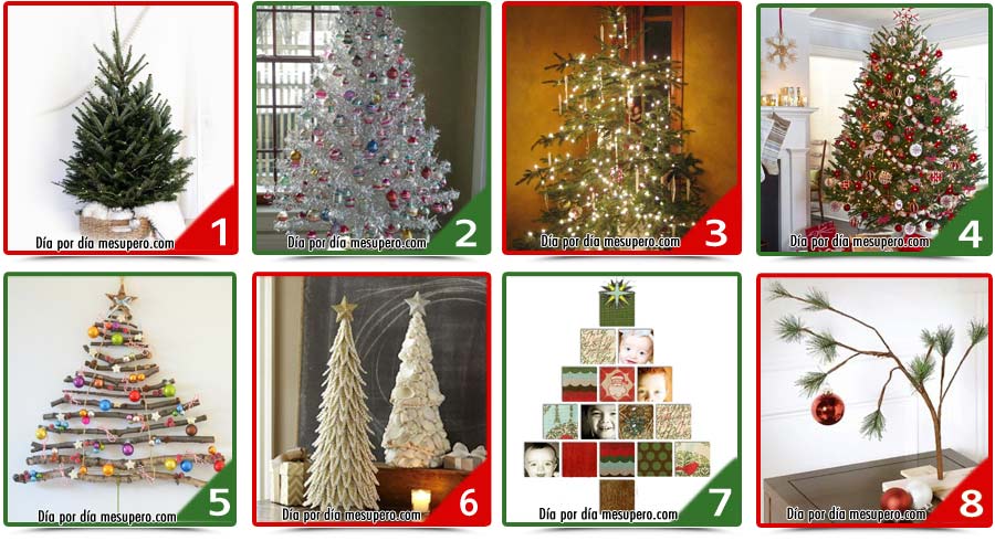 Test: Elige tu árbol y descubre qué revela tu elección Test: Elige tu árbol y descubre qué revela tu elección