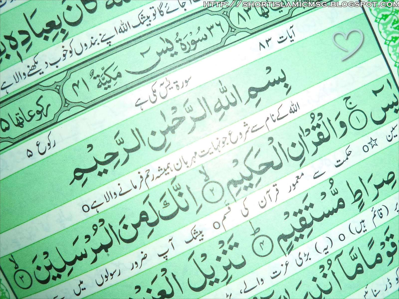 Quran and Science Are Sun stars are revolving or Not Islam