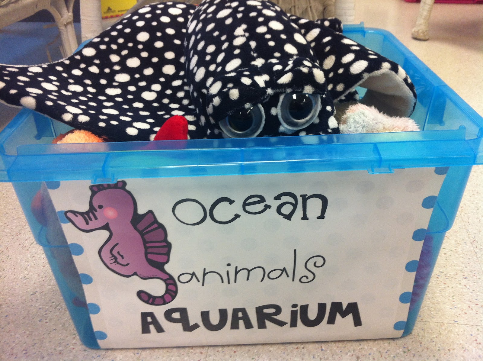 Marine Science Project Ideas