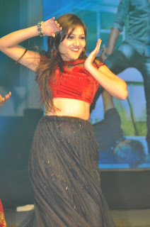 hyper movie audio launch photos hyper movie audio launch photos