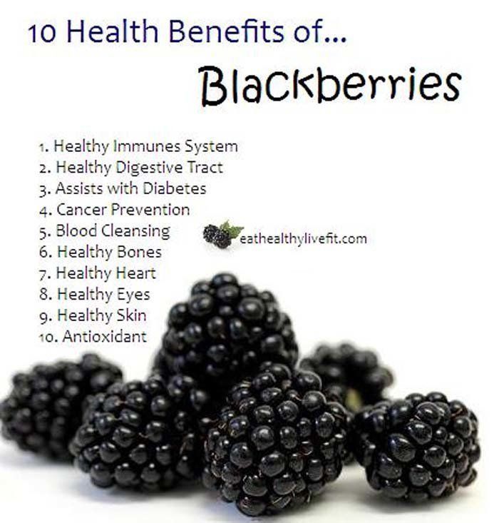 Tenerife Adeslas Agent 10 Health Benefits of Blackberries..