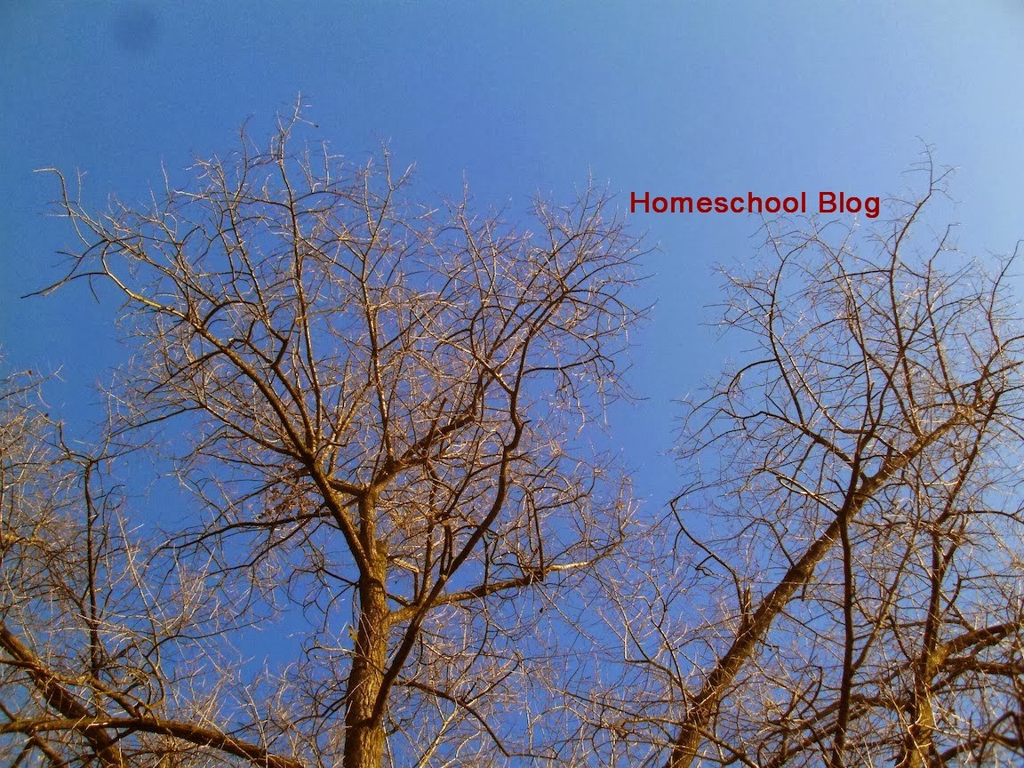 Herbst, Fall, Homeschool Blog, Jan und Bernice Zieba Herbst, Fall, Homeschool Blog, Jan und Bernice Zieba