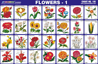 Flowers Chart contains 28 images of different flowers