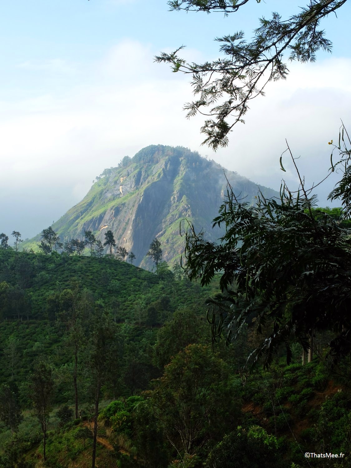 Small Adam's Peak montagne sommet pic d'Adam Sri-Lanka