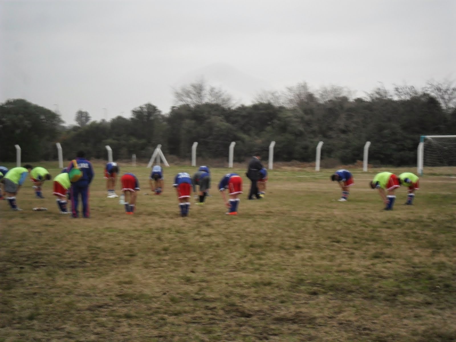 Estadios de Uruguay mayo 2014