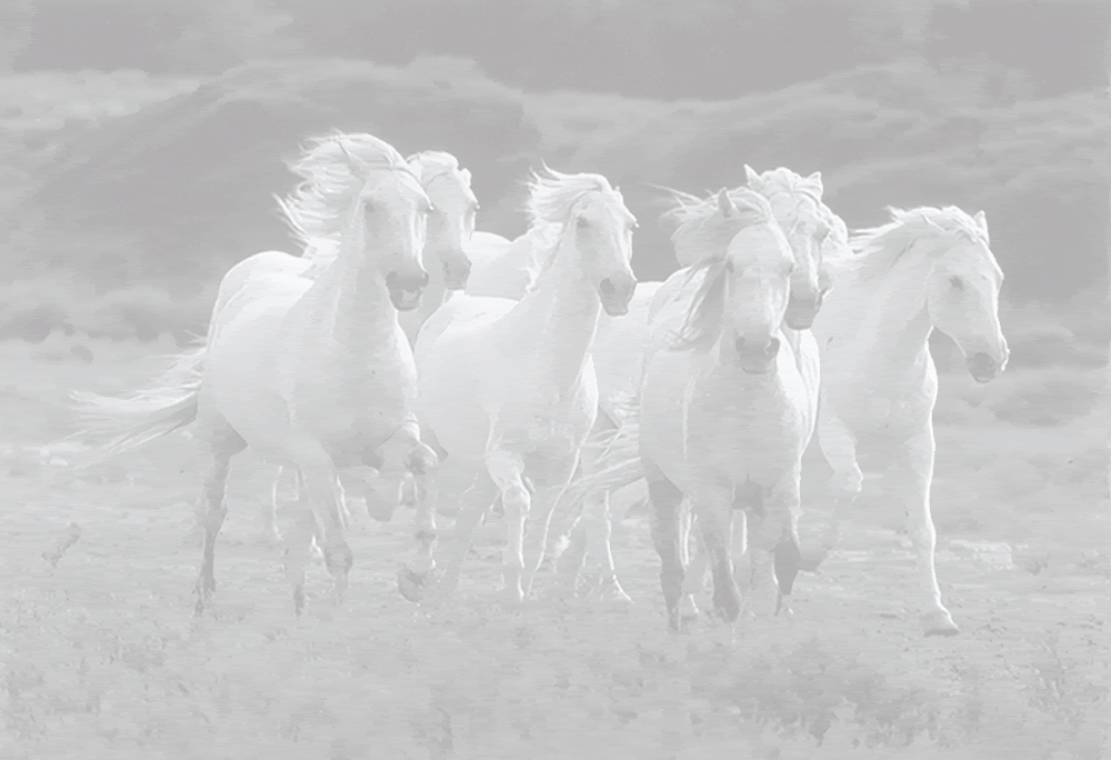 Белые лошадки песня. Табун лошадей. Белая лошадь. Лошадь бежит. Табун белых лошадей.