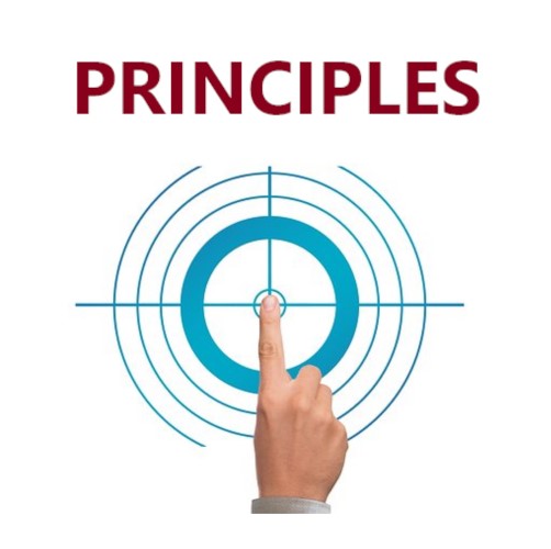 Guiding Principles