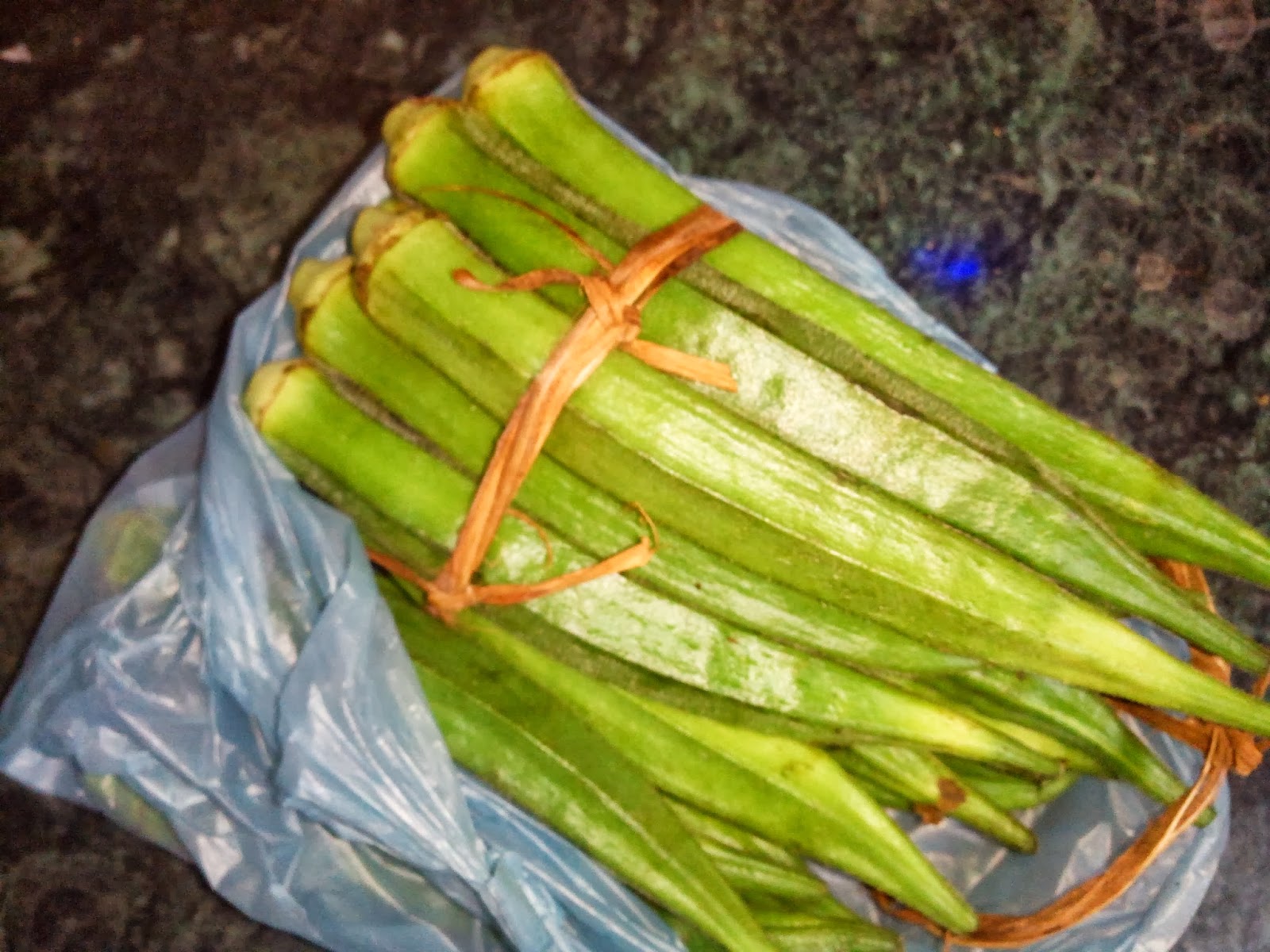 Fried Stuffed Bhindi Pintoos Kitchen