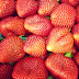 What is "Organic" SEO?