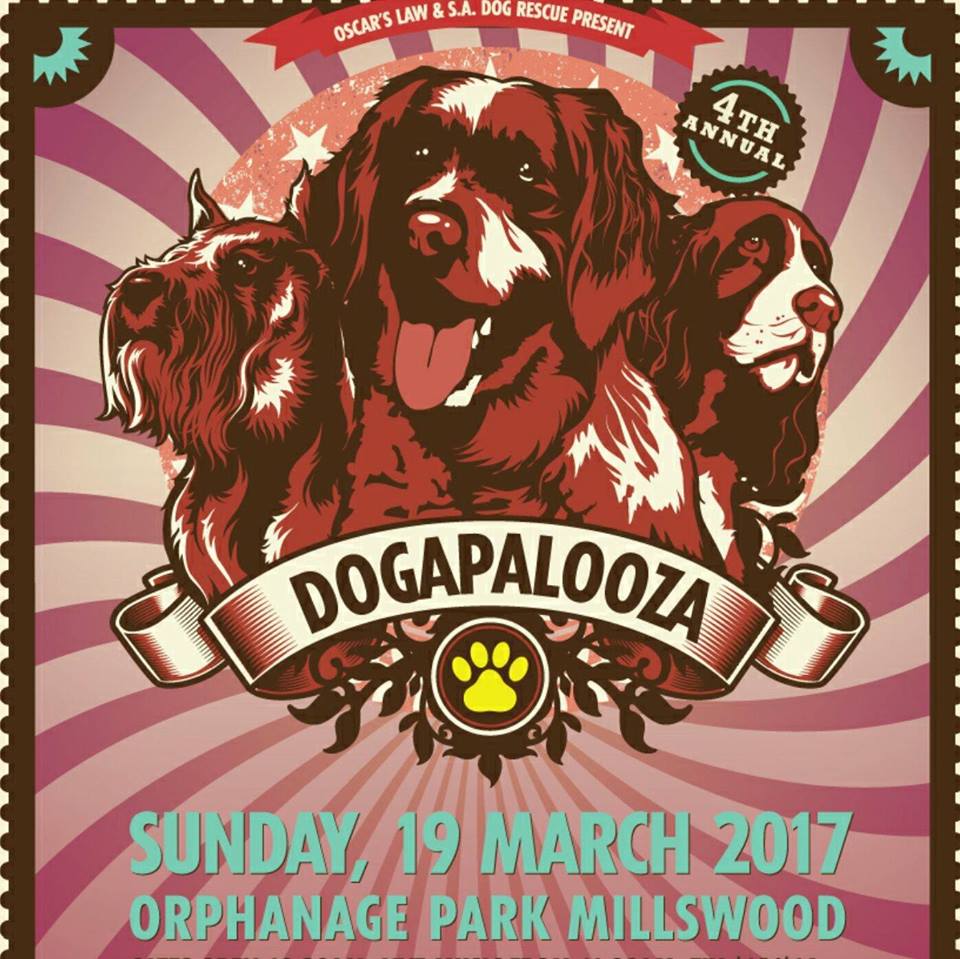 Lænestol solnedgang Tragisk Dogapalooza Adelaide 2017 Music Festival - March 19 | Australian Dog Lover