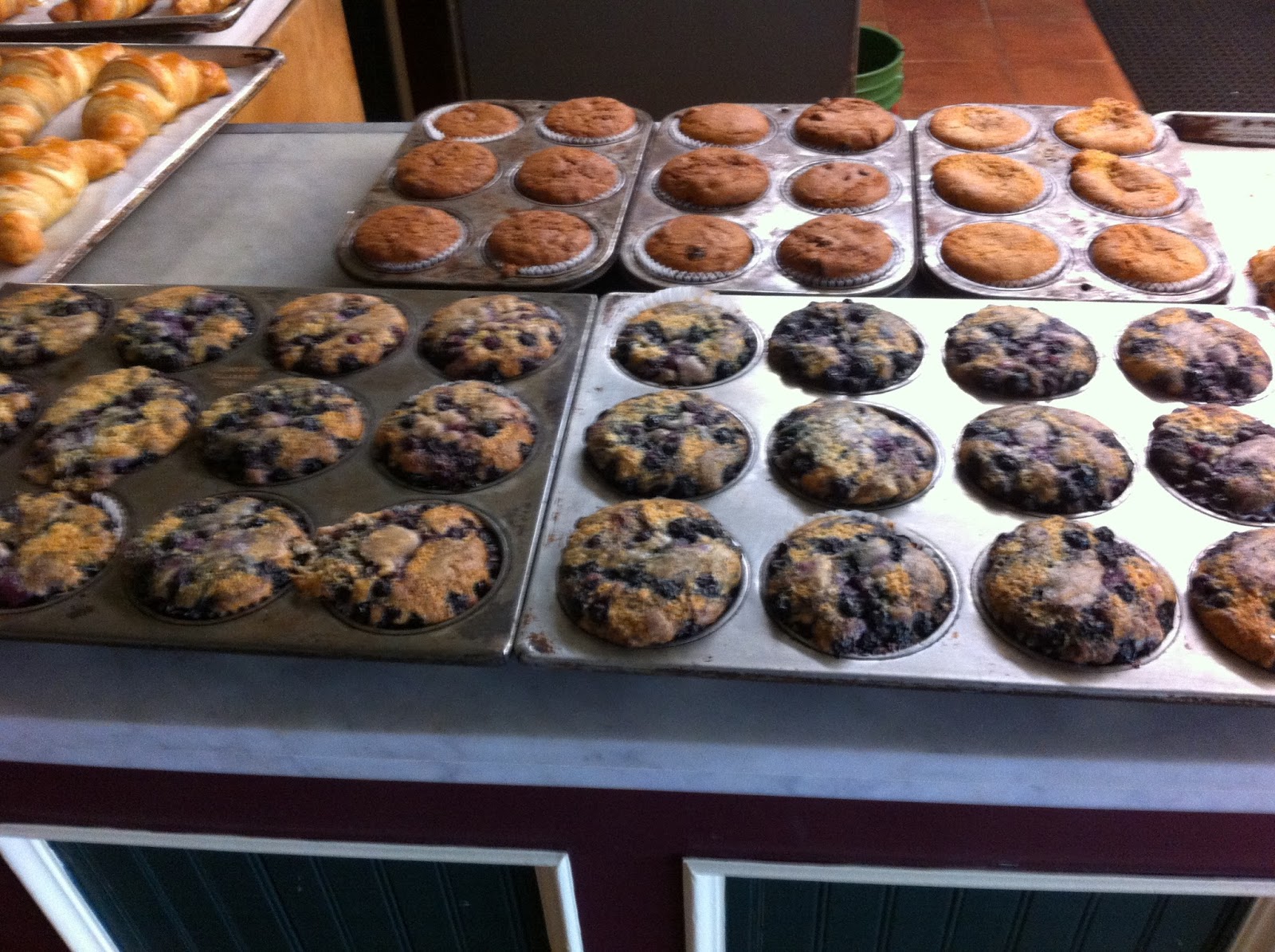 Connecticut Explorer A Walk by the Sea in Bridgeport