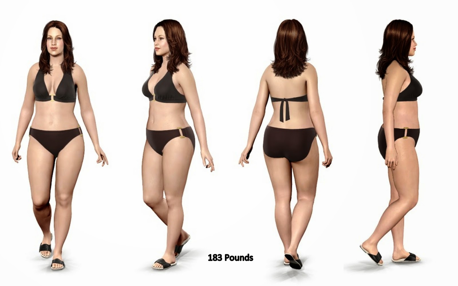 body weight simulator