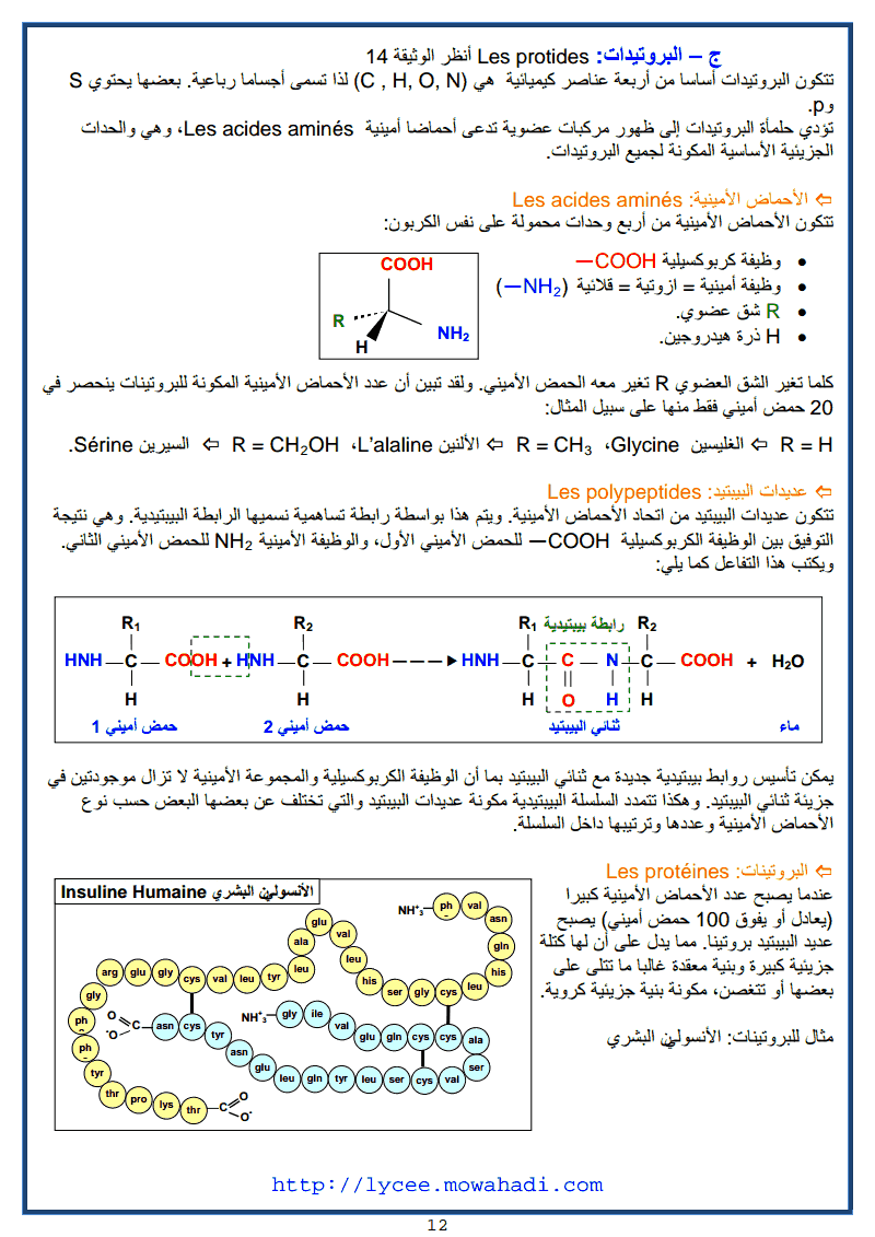  التبادلات الغازية اليخضورية و انتاج المادة العضوية -12