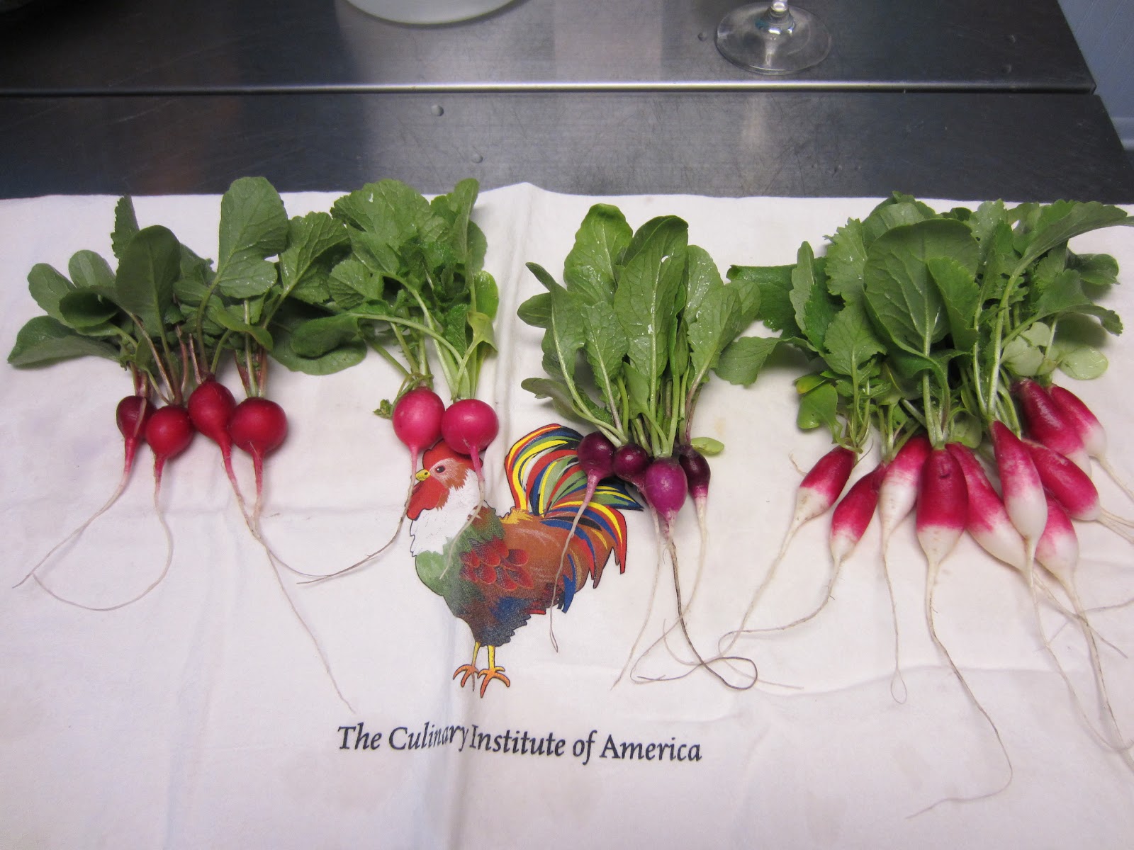 Connected Roots Garden Radish types and tastes