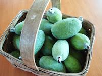 feijoas o guayabos