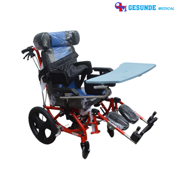 Jual Kursi Roda Anak Penyandang Disabilitas Kursi Roda Anak Penyandang Disabilitas (Celebral Palsy)